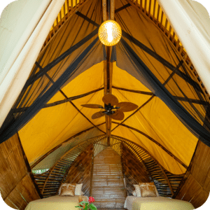 1 - Shared Twin Jungle Cabin