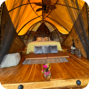 1 - King Jungle Cabin