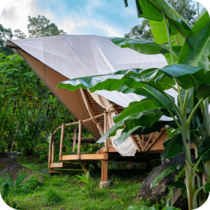 3 - King Jungle Cabin