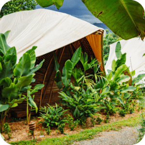 6 - Shared Twin Jungle Cabin